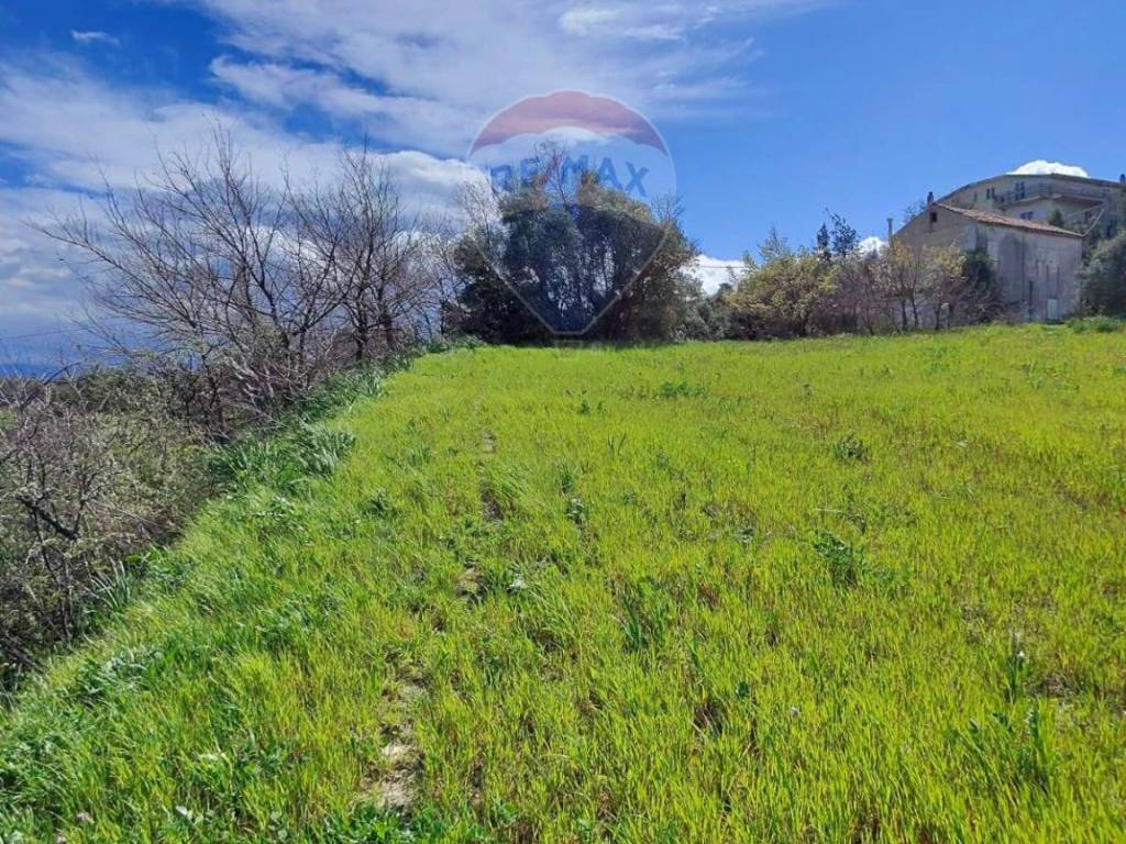 Terreno a San marco argentano in c/da Bonavita - Foto 2