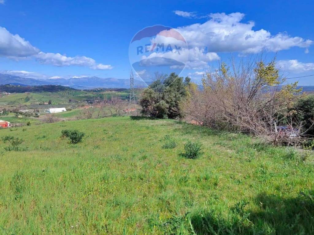 Terreno a San marco argentano in c/da Bonavita - Foto 3