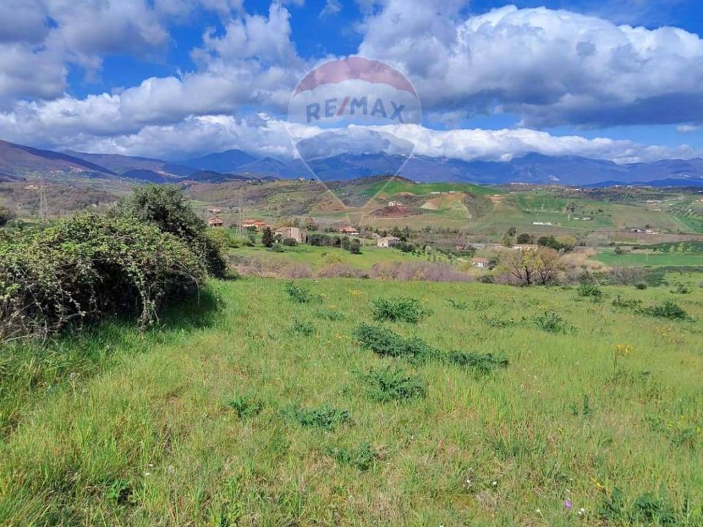 Terreno a San marco argentano in c/da Bonavita - Foto 4