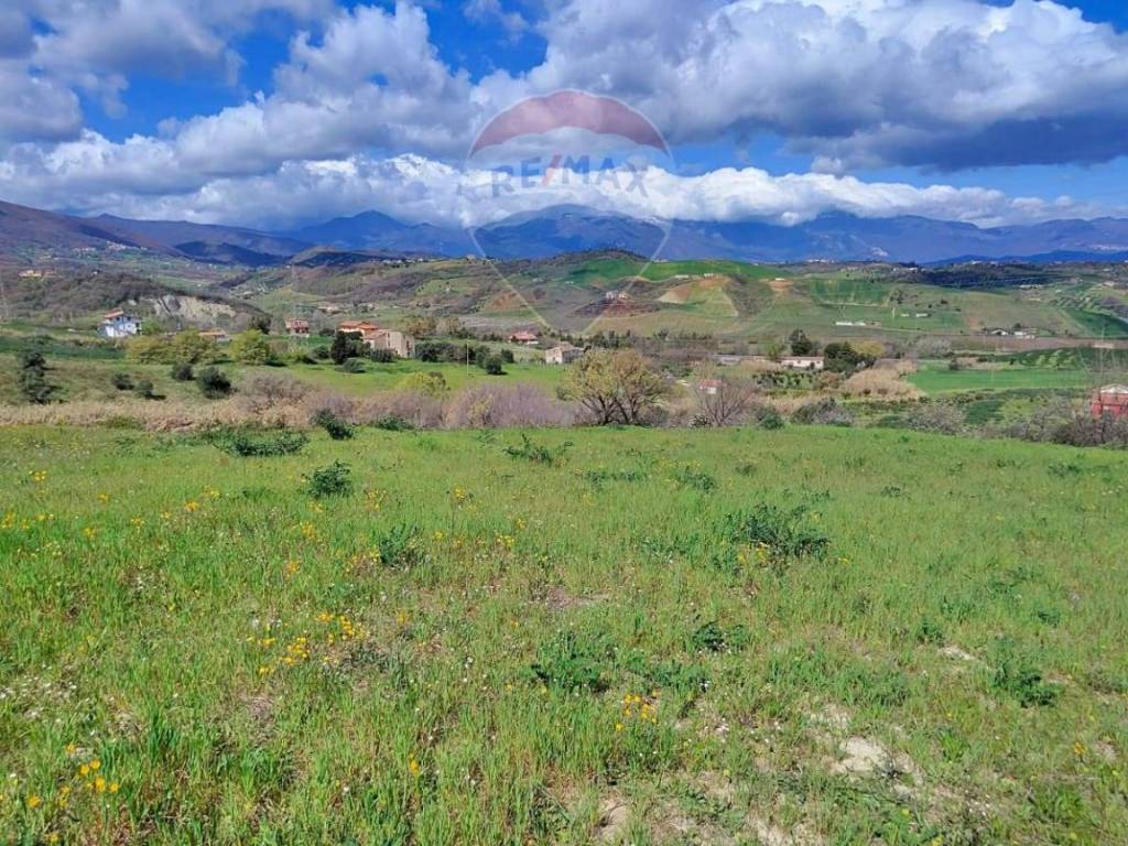 Terreno a San marco argentano in c/da Bonavita - Foto 5