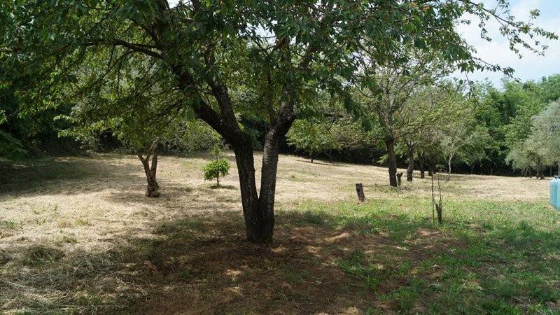 Terreno a Dragoni in San Giorgio - Foto 3