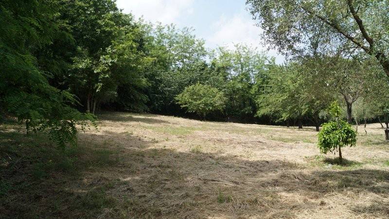 Terreno a Dragoni in San Giorgio - Foto 4