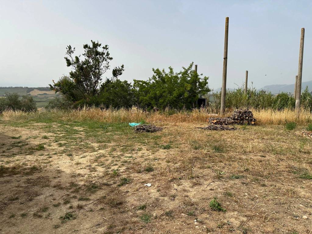 Terreno a Loreto aprutino in Contrada Paterno - Foto 2