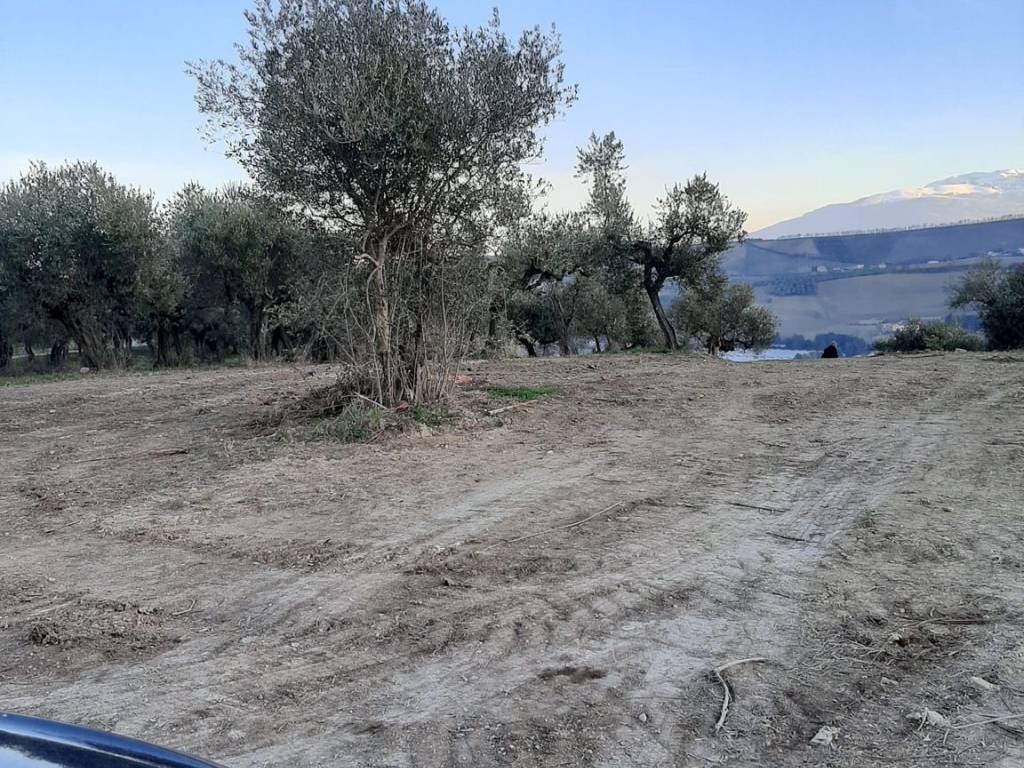 Terreno a Loreto aprutino in Contrada Paterno - Foto 3