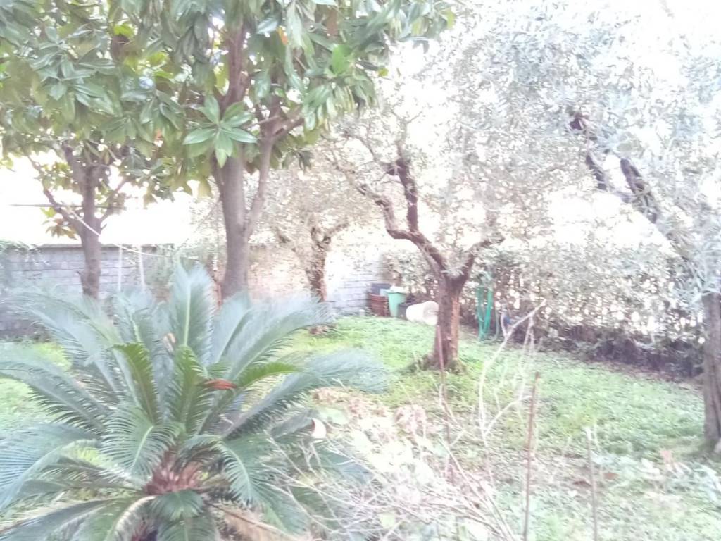 Appartamento a Montecatini-terme - Foto 2