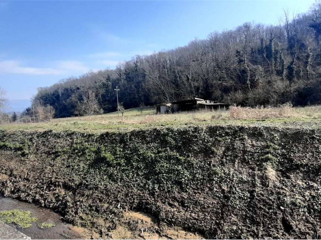 Terreno a San giovanni valdarno in VIA STRADA PROVINCIALE , 12 - Foto 5