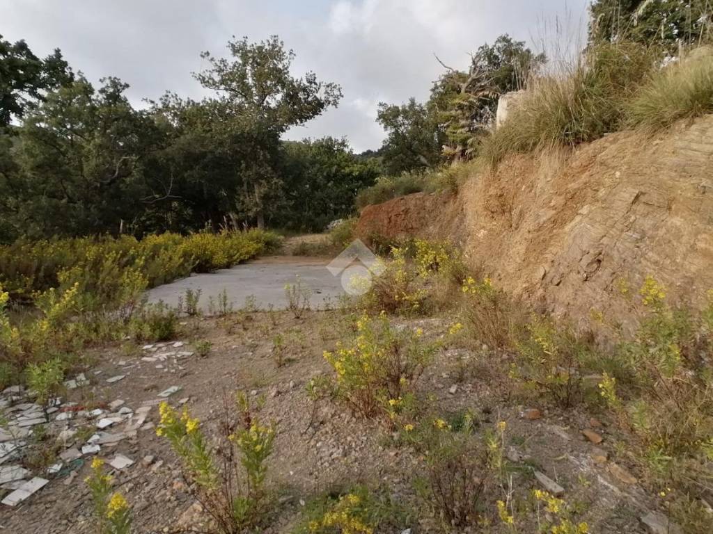 Terreno a Scalea in CONTRADA PIANO GRANDE - Foto 2