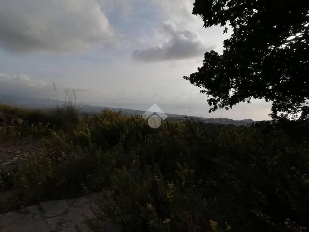 Terreno a Scalea in CONTRADA PIANO GRANDE - Foto 5