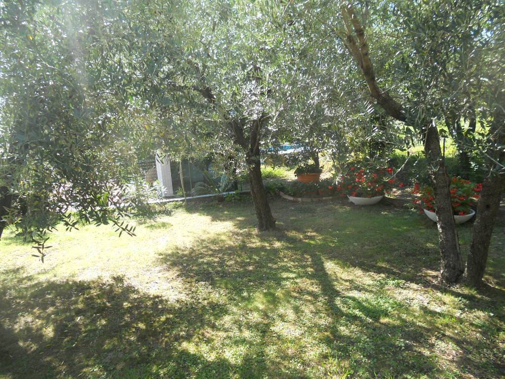 Casa indipendente a Castelnuovo magra - Foto 3