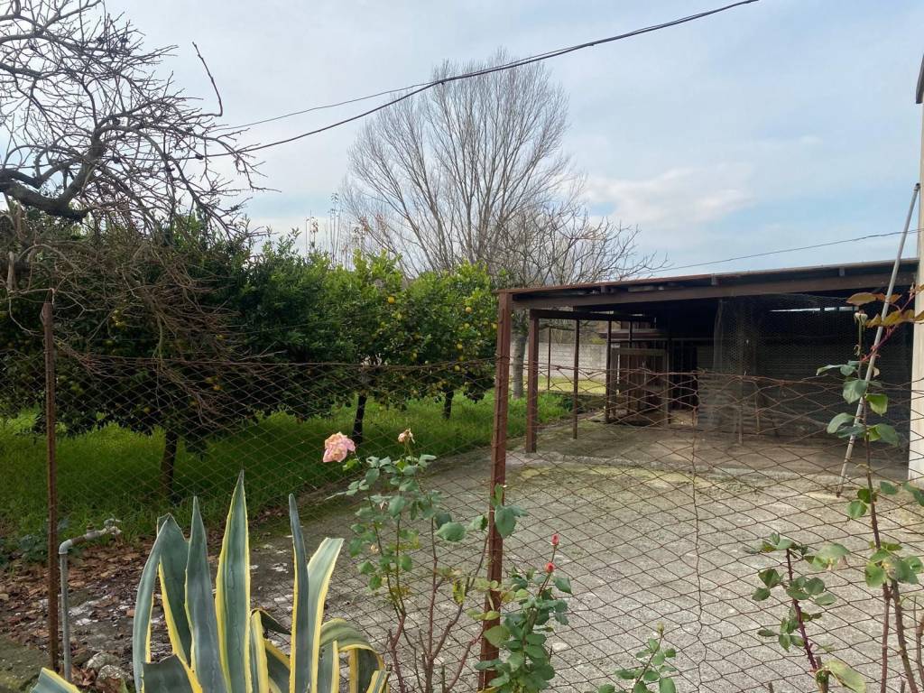 Rustico / casale a Caiazzo - Foto 3