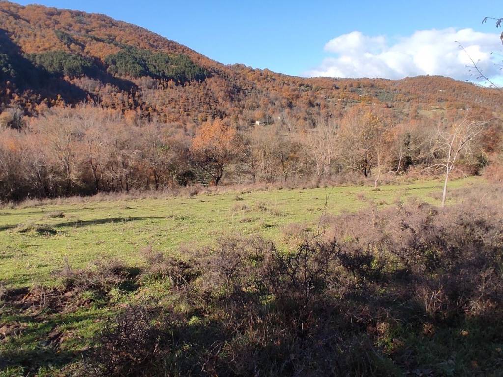 Rustico / casale a Colle di tora - Foto 2