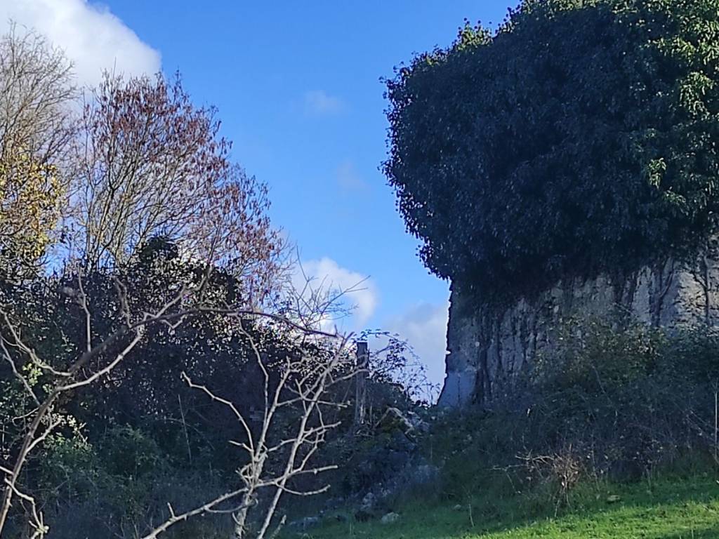 Rustico / casale a Colle di tora - Foto 3