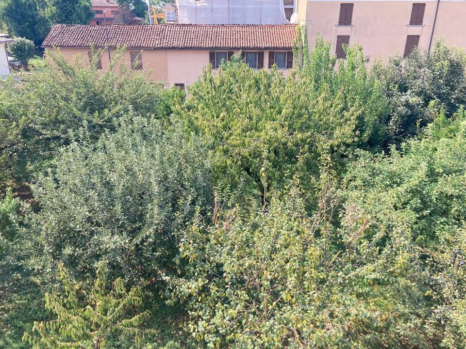 Terreno a Cremona - Foto 3