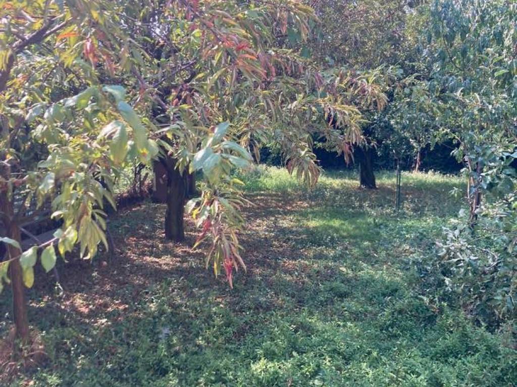 Terreno a Cremona - Foto 4