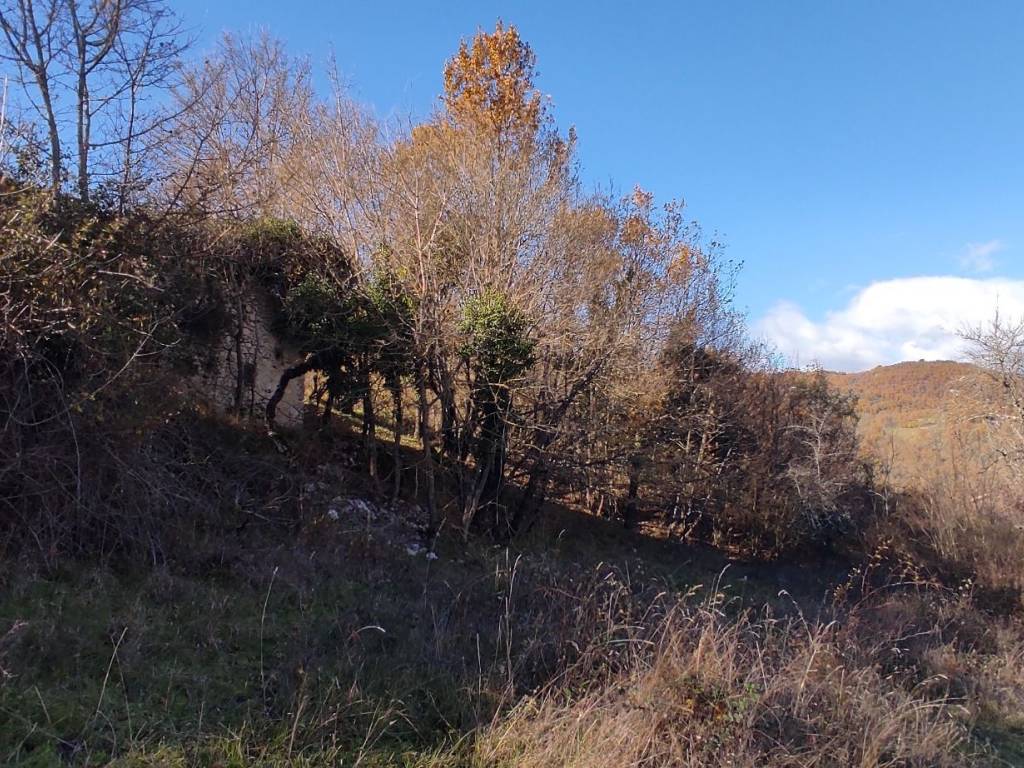 Rustico / casale a Colle di tora - Foto 5