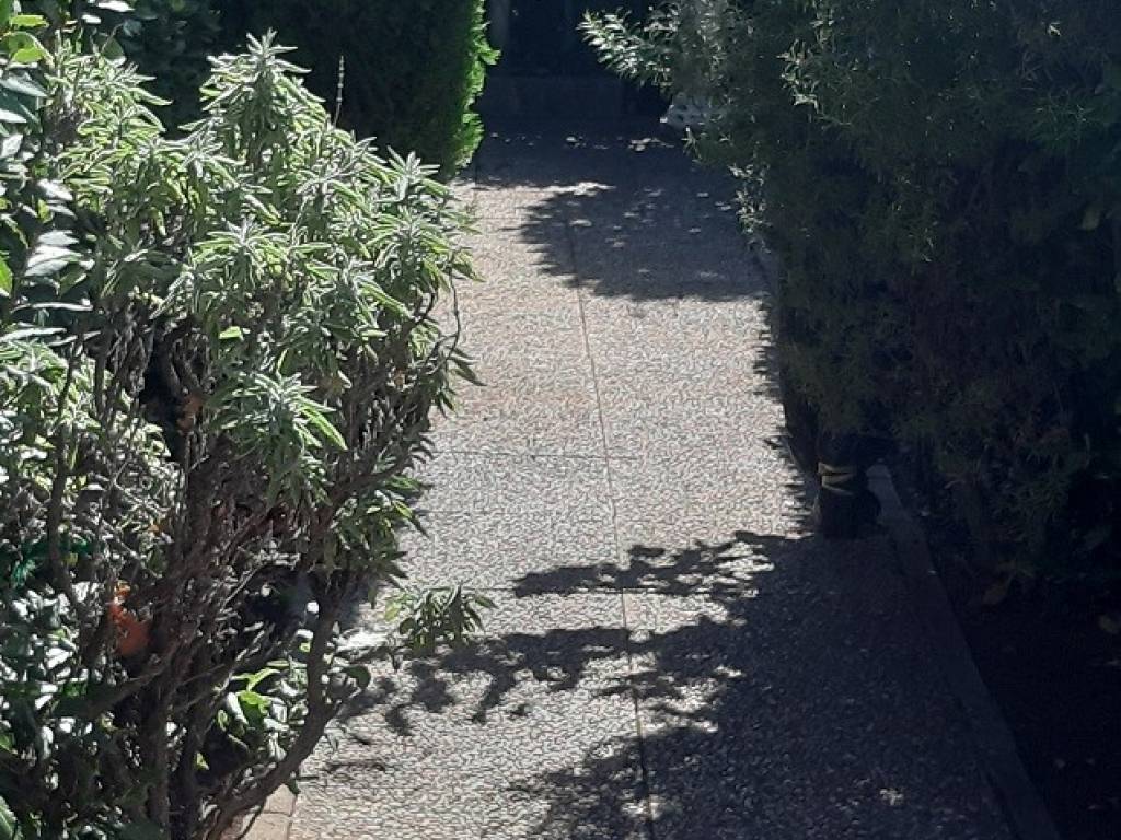 Appartamento a Campiglia marittima in Via Elsa Morante, 6 - Foto 5