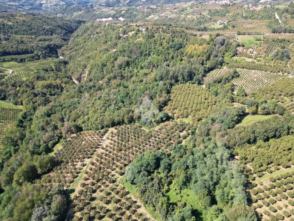 Terreno a Cerretto langhe in Via Lesme - Foto 5