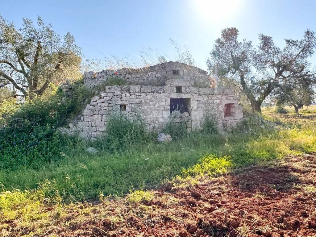 Terreno a San vito dei normanni - Foto 2