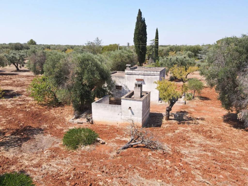 Terreno a San vito dei normanni in Contrada Signoranna - Foto 2