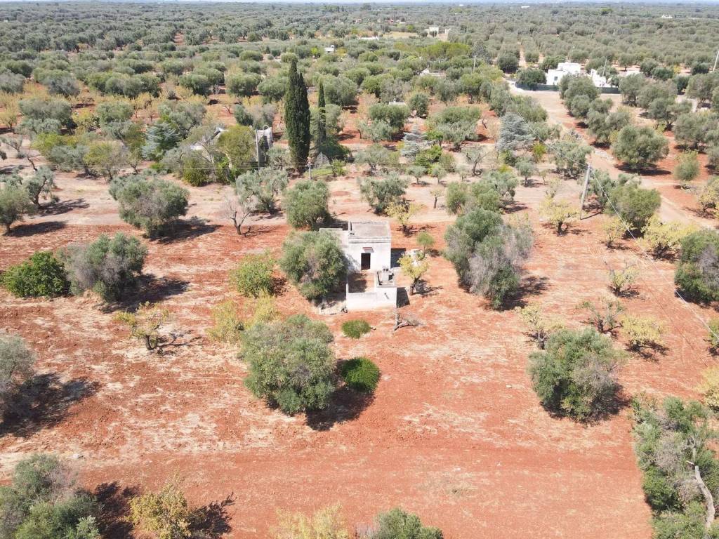 Terreno a San vito dei normanni in Contrada Signoranna - Foto 3