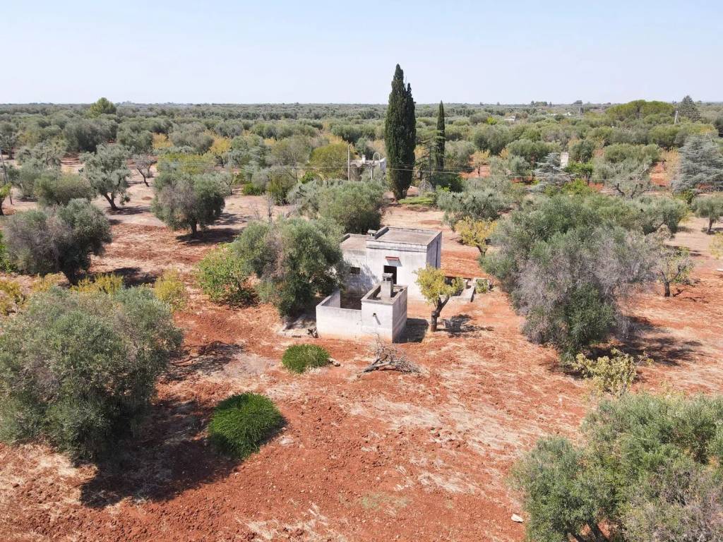 Terreno a San vito dei normanni in Contrada Signoranna - Foto 4