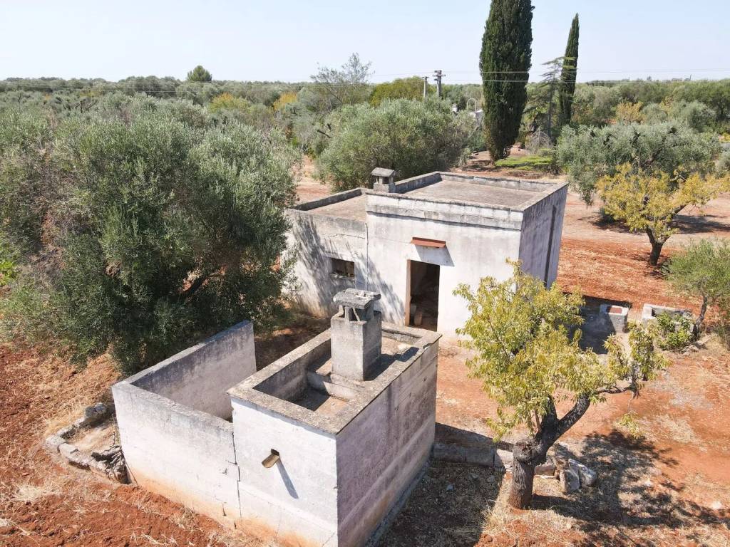 Terreno a San vito dei normanni in Contrada Signoranna - Foto 5