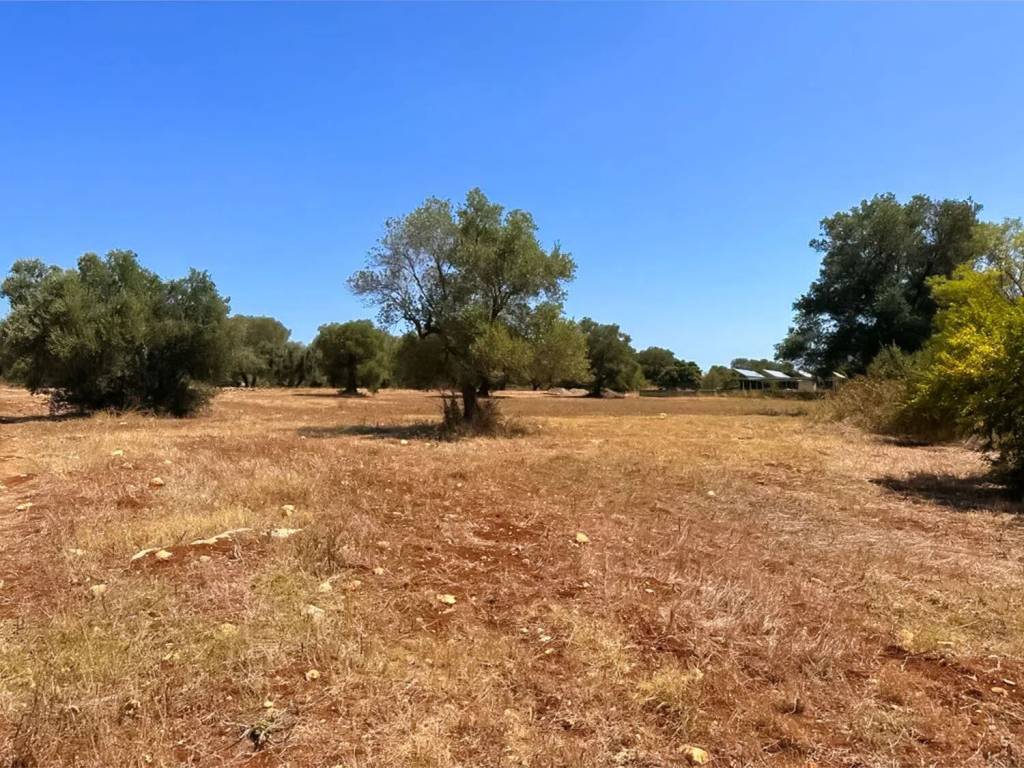 Terreno a San vito dei normanni in Contrada Coppula Mucata S.N.C. - Foto 2