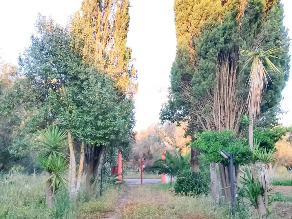 Villa a Latiano - Foto 4