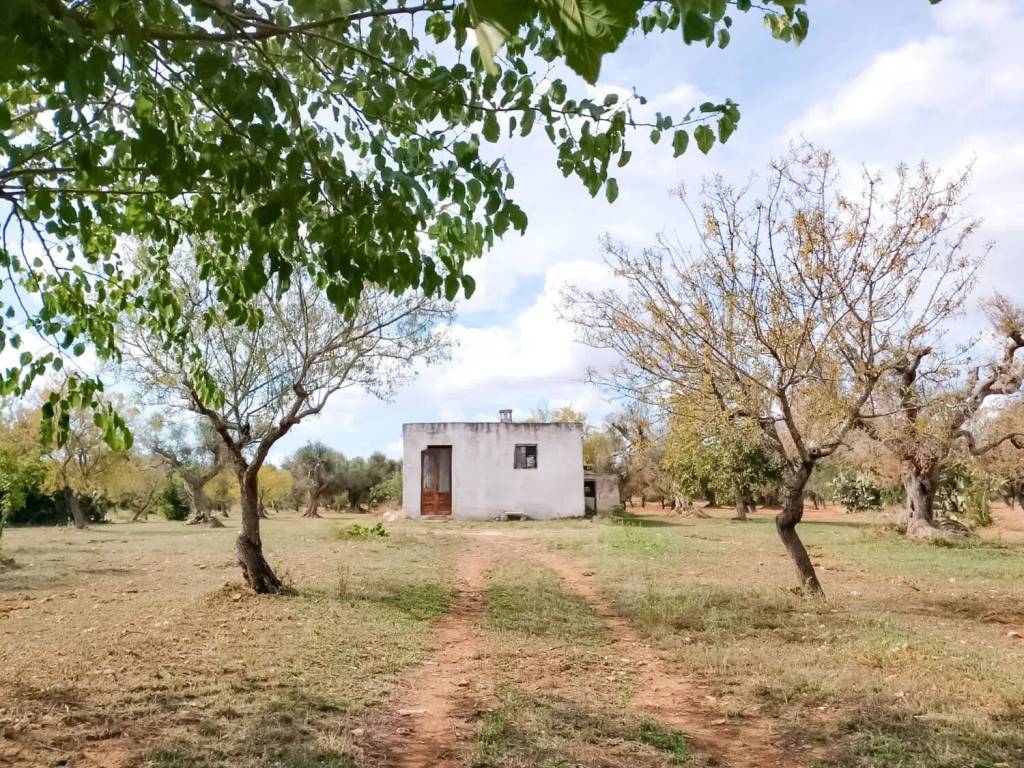 Rustico / casale a San vito dei normanni - Foto 2