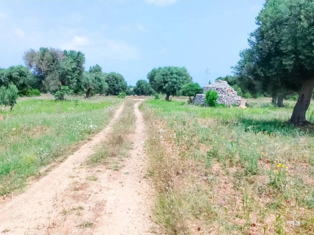 Rustico / casale a Carovigno - Foto 2