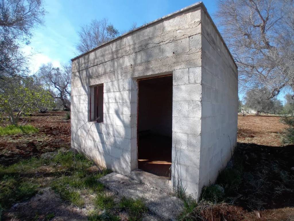 Rustico / casale a Latiano - Foto 3