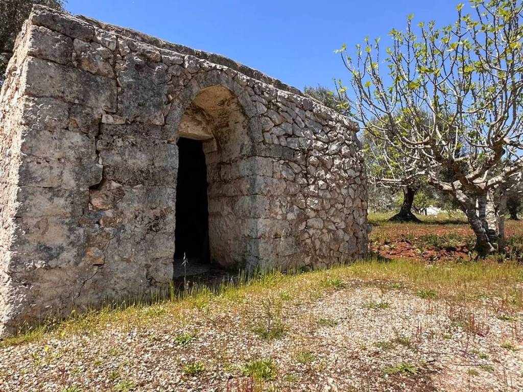 Rustico / casale a San vito dei normanni - Foto 2