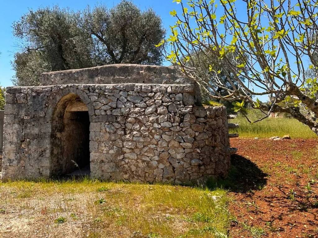 Rustico / casale a San vito dei normanni - Foto 3