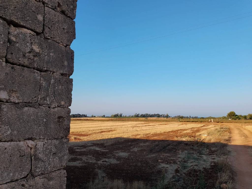 Rustico / casale a Carovigno - Foto 3