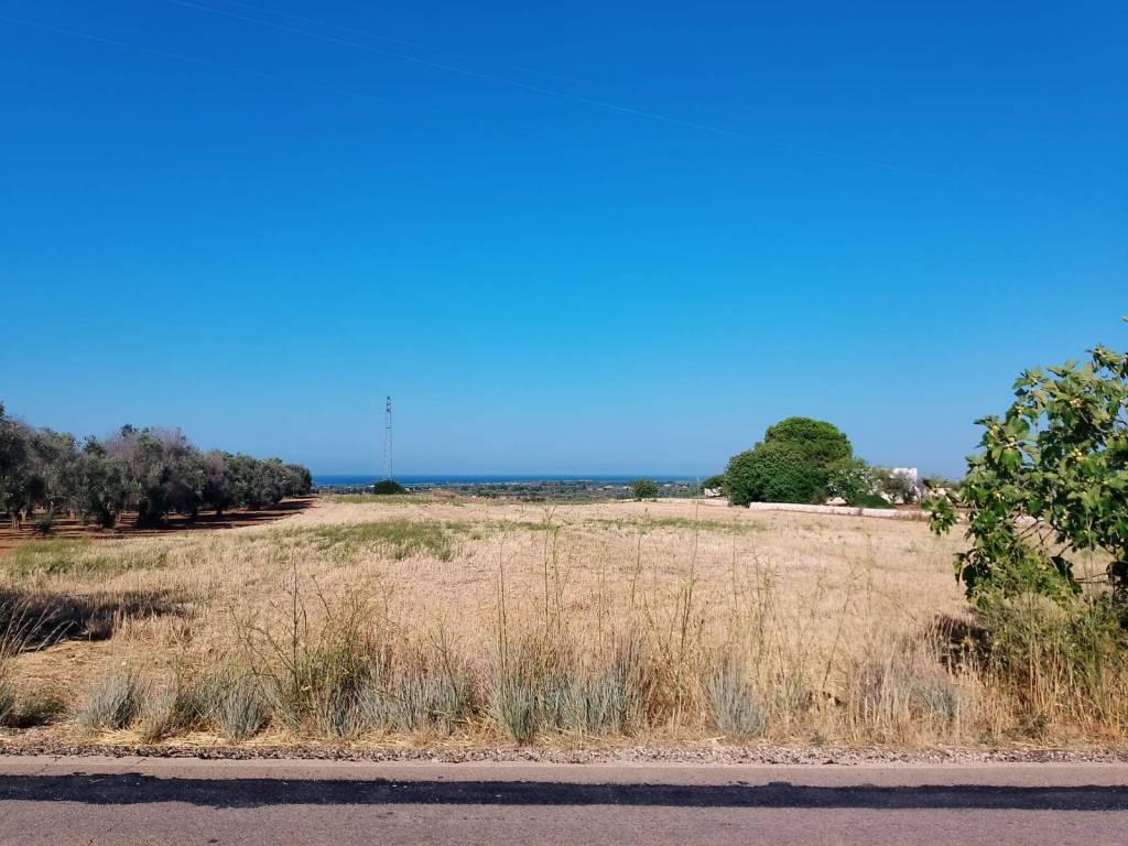 Rustico / casale a Carovigno - Foto 4