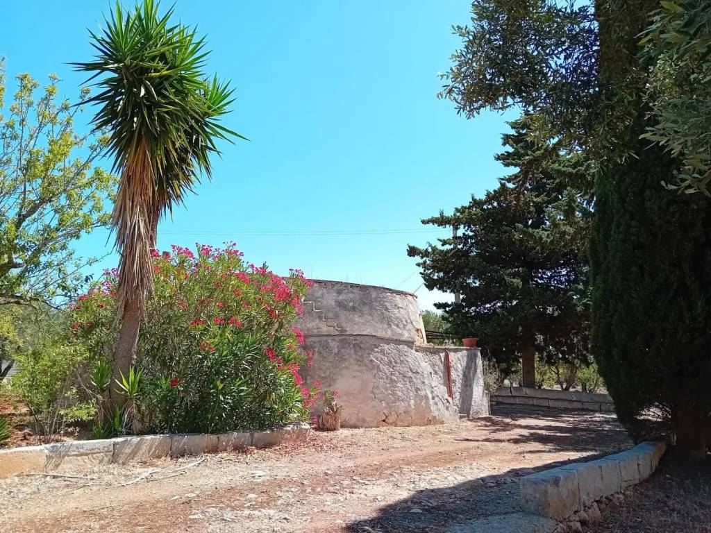 Rustico / casale a Carovigno - Foto 3