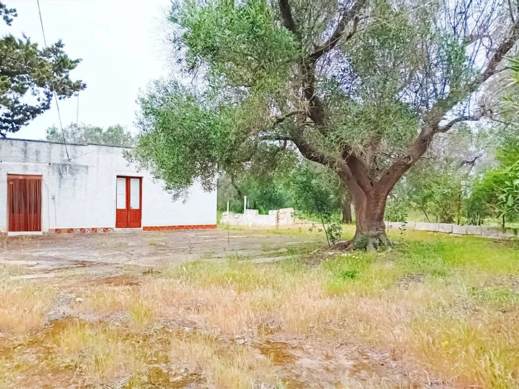 Rustico / casale a Carovigno - Foto 2