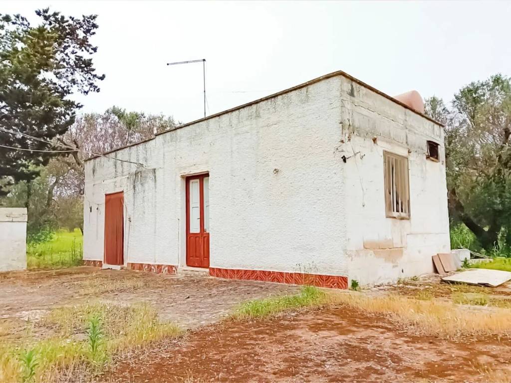 Rustico / casale a Carovigno - Foto 3