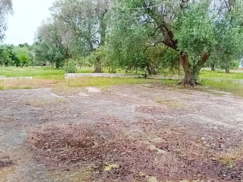 Rustico / casale a Carovigno - Foto 4