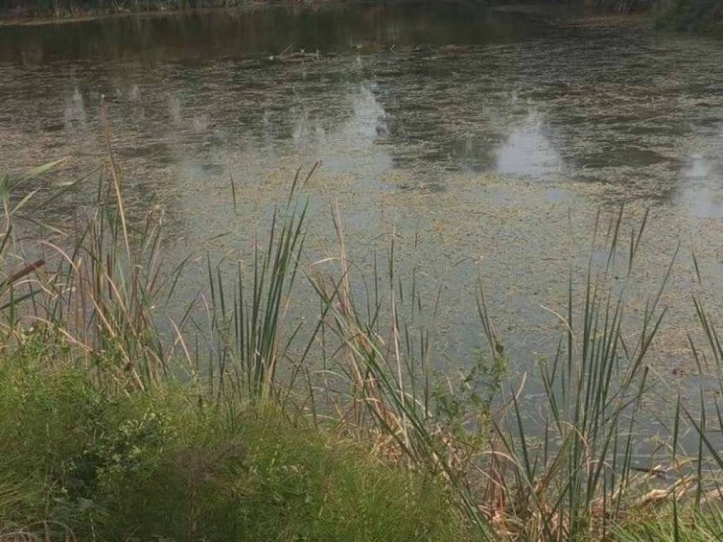 Terreno a Loreto aprutino - Foto 2