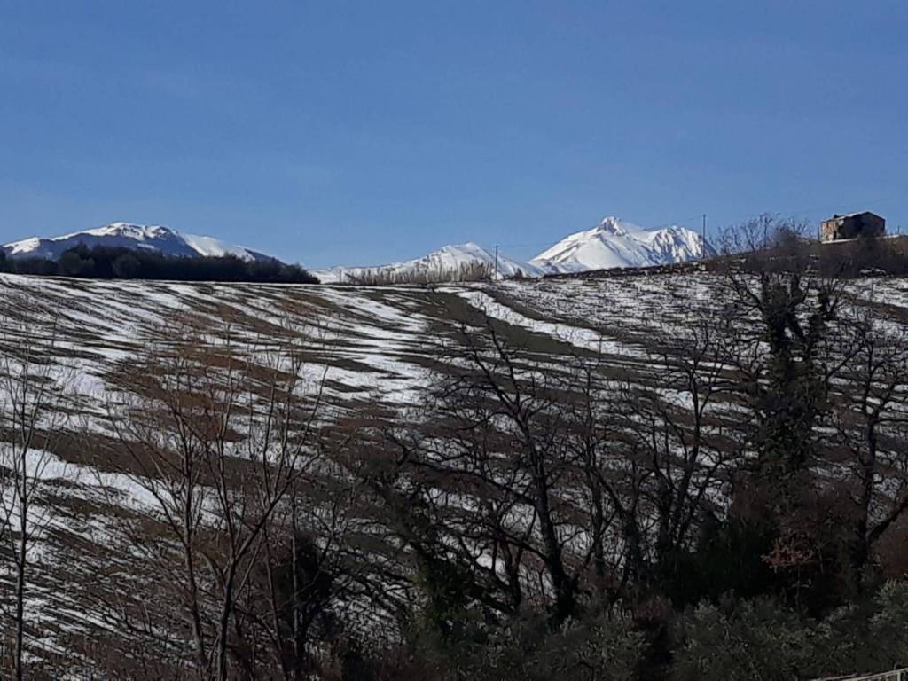 Terreno a Loreto aprutino - Foto 3