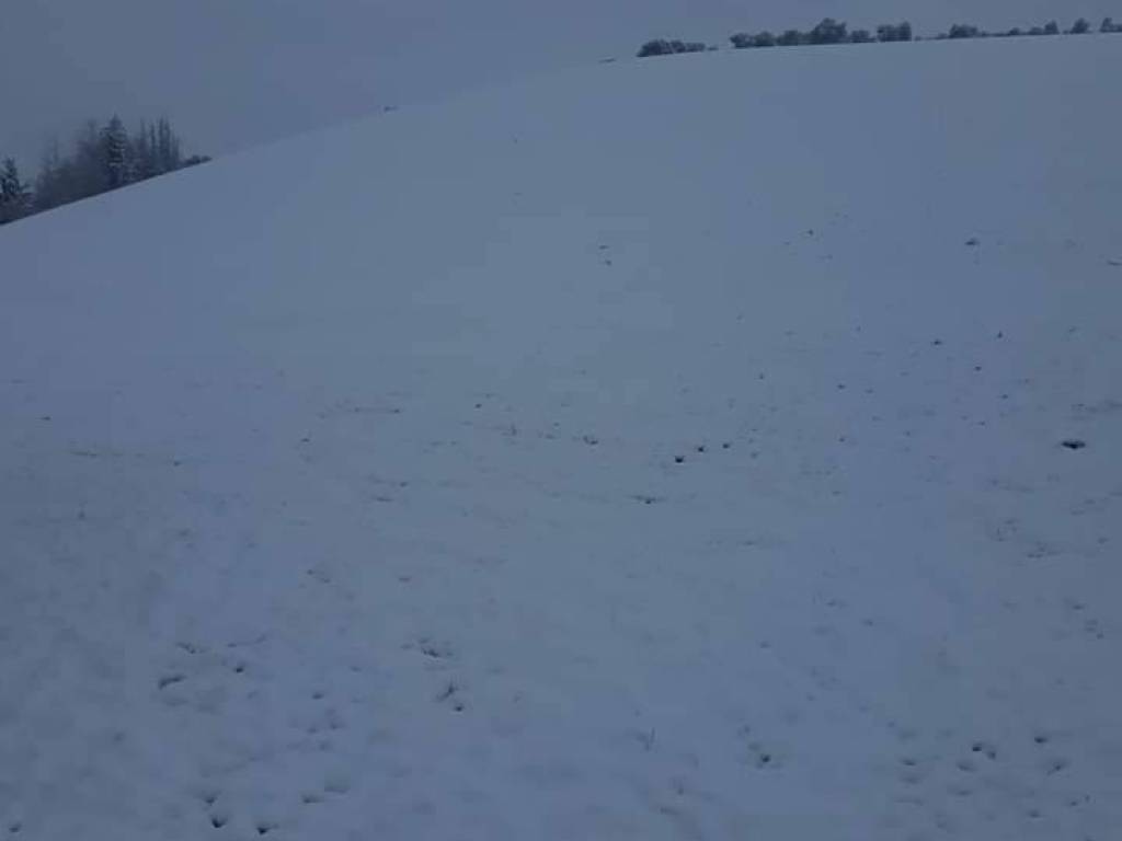 Terreno a Loreto aprutino - Foto 3