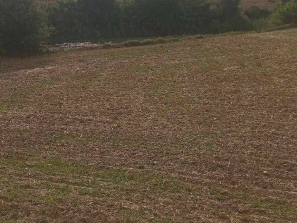 Terreno a Loreto aprutino - Foto 5