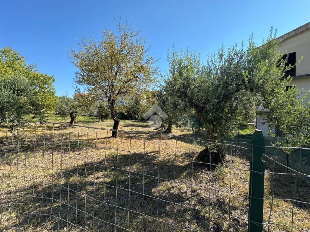 Terreno a Trebisacce in VIALE SOCRATE - Foto 2