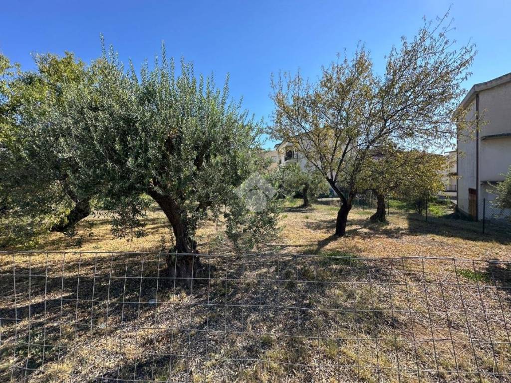 Terreno a Trebisacce in VIALE SOCRATE - Foto 3