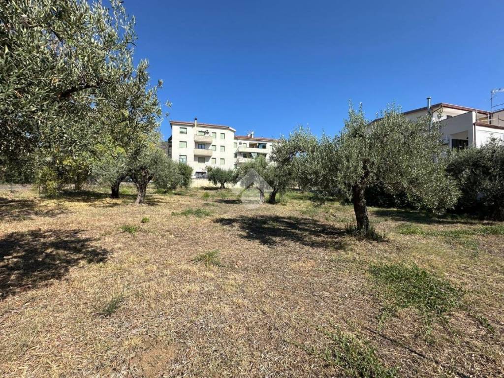 Terreno a Trebisacce in VIALE SOCRATE - Foto 4