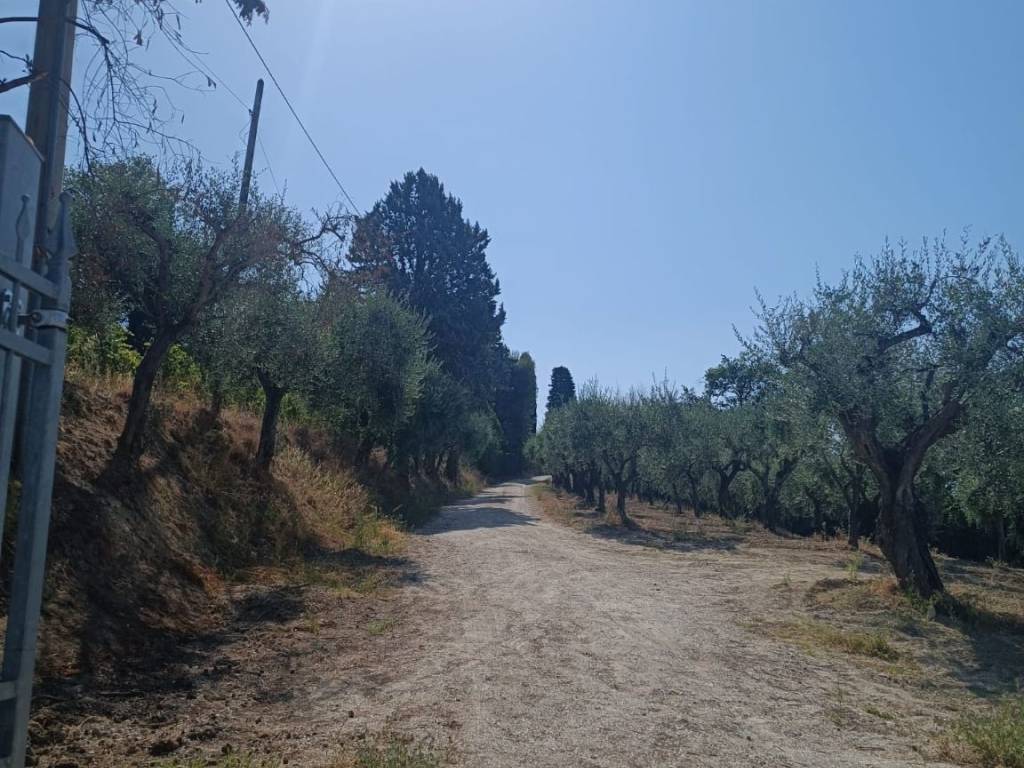 Villa a Mondolfo in Via Le Grotte, 8 - Foto 3