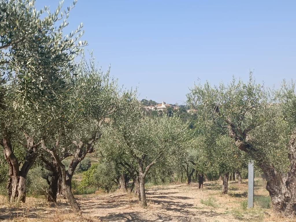 Villa a Mondolfo in Via Le Grotte, 8 - Foto 5