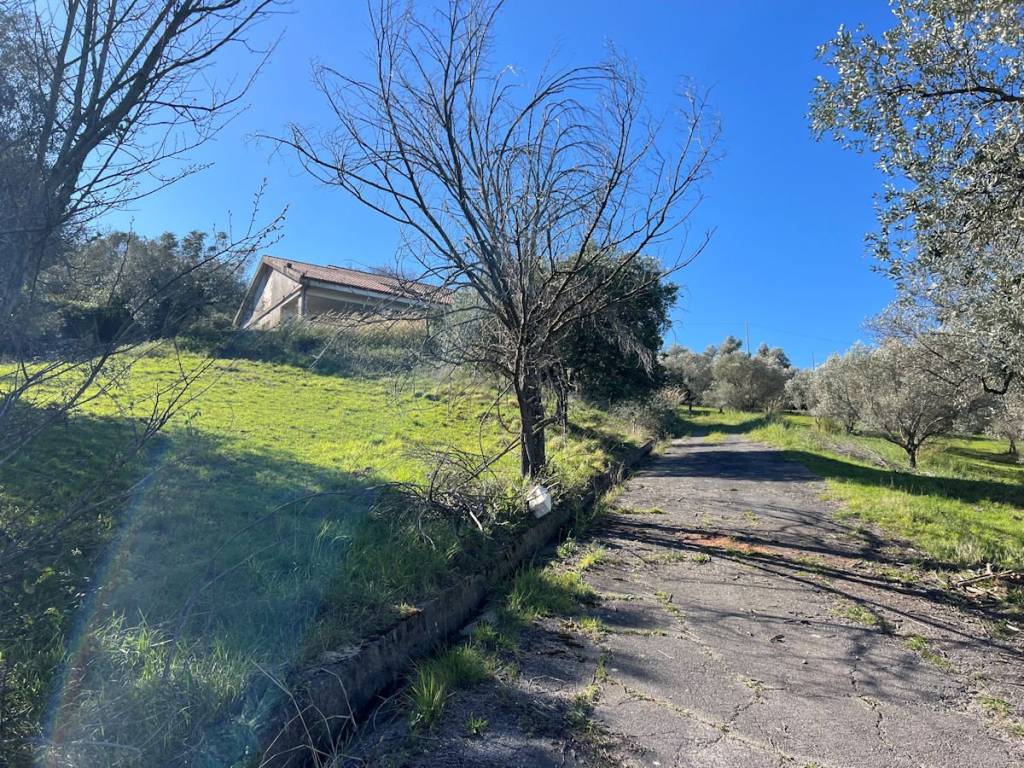 Villa a Altavilla silentina in Via Tempa di Plato - Foto 5