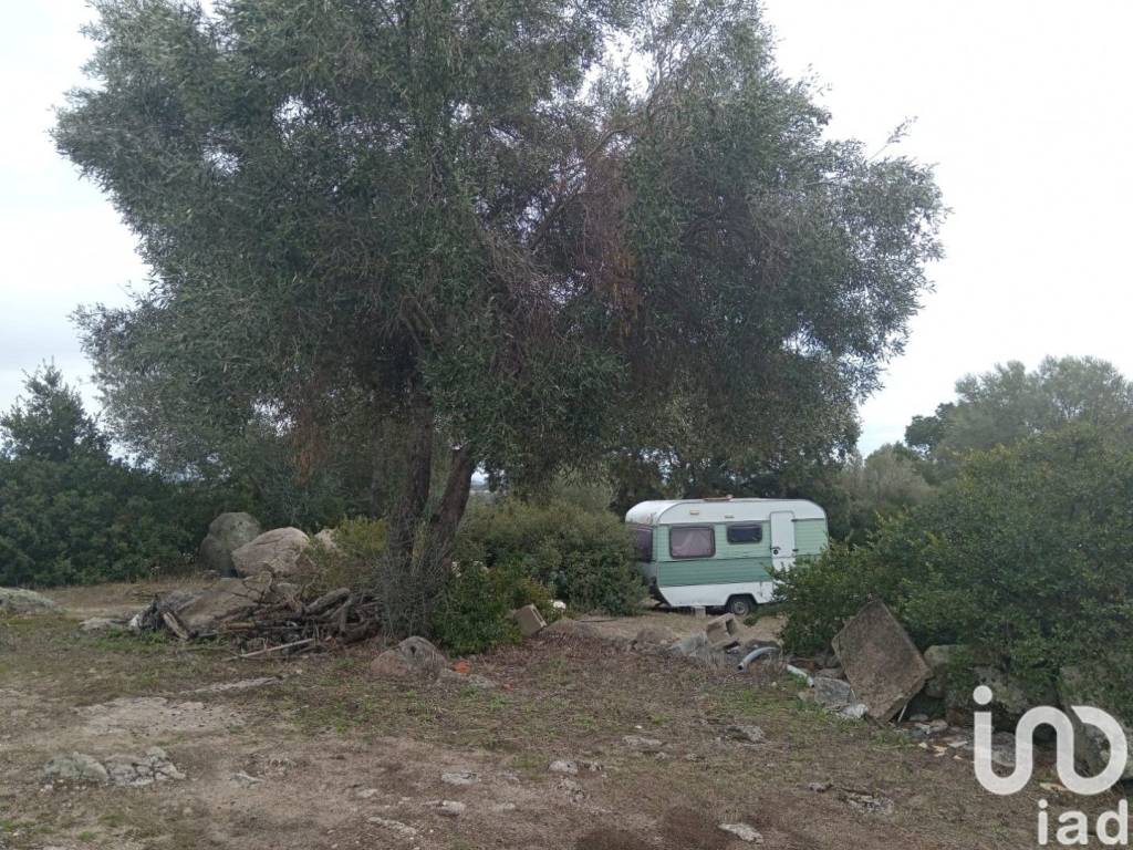 Terreno a Telti in Località Andrieddu - Foto 5